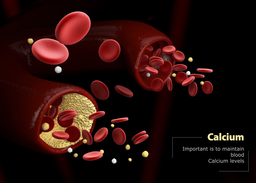 Calcium Build up in veins/arteries